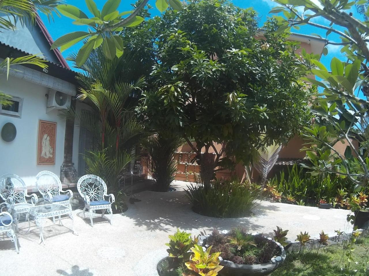 Canggu Pinpoint Rooms المظهر الخارجي الصورة